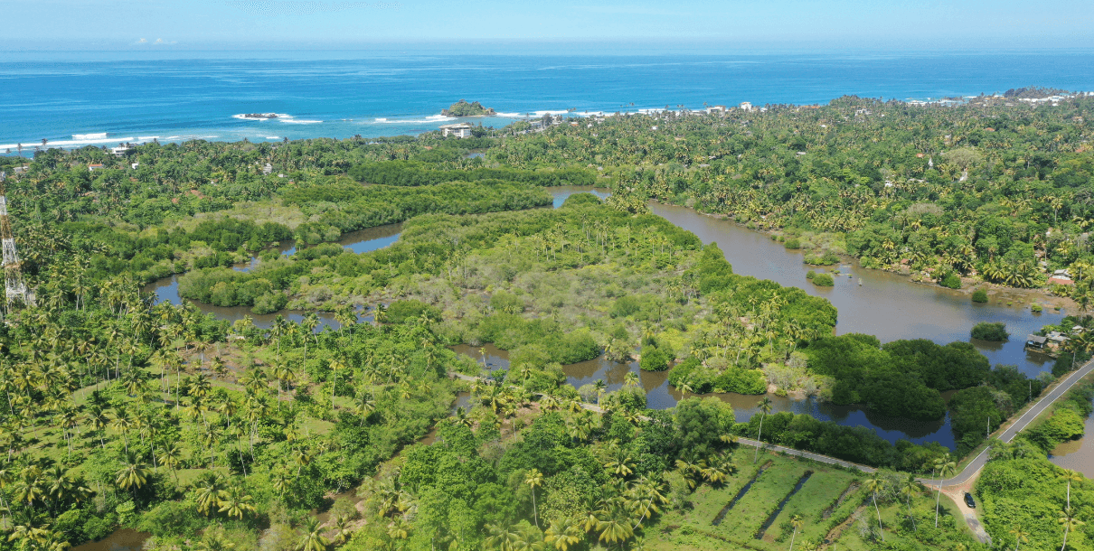 Midigama Island