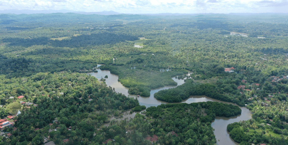 Midigama Island Eco-Tourism Project - Image 3